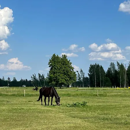 Vetras Viesu Maja Vetras Trenci