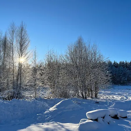 Vetras Viesu Maja Vetras Holiday home *